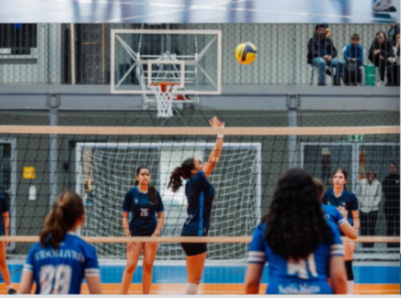Voleibol